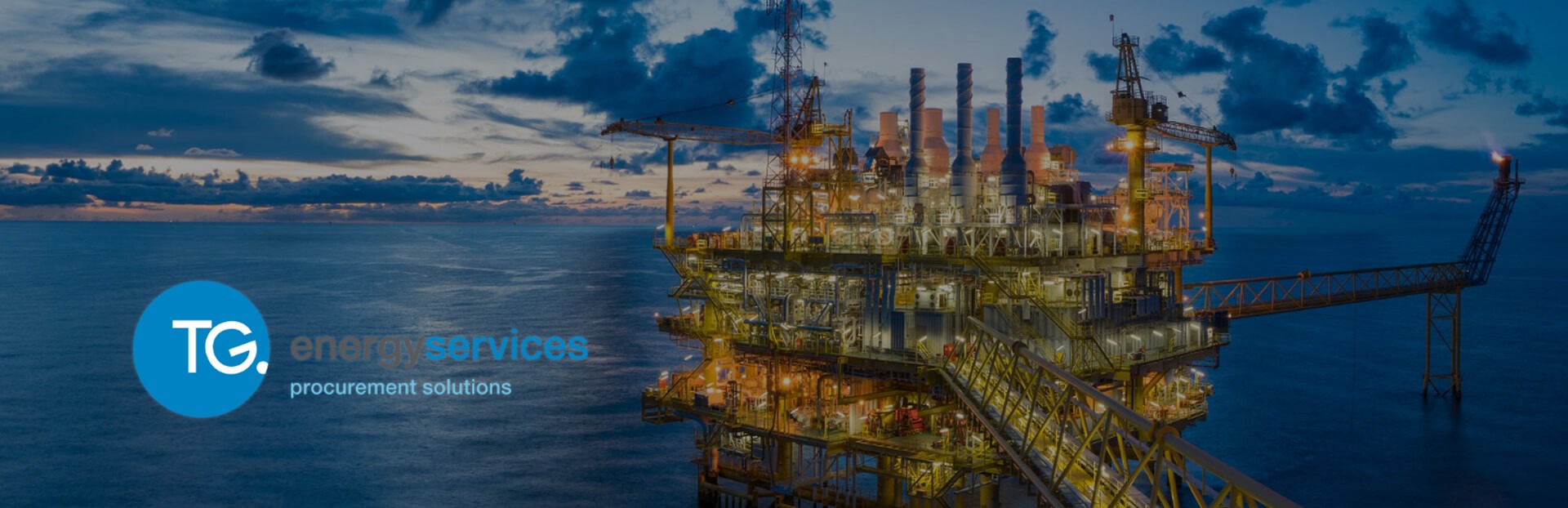 TG Energy Services Procurement Solutions